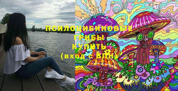 метадон Медвежьегорск