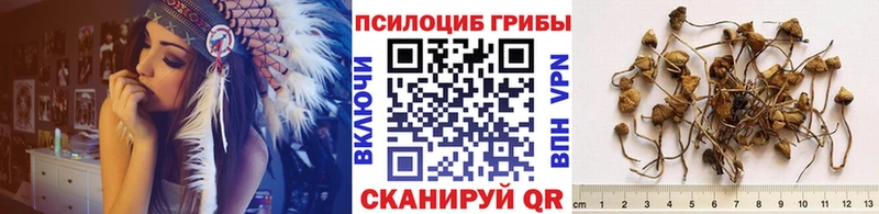 купить наркоту  Дудинка  Галлюциногенные грибы MAGIC MUSHROOMS 